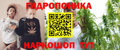 индика Ликино-Дулёво
