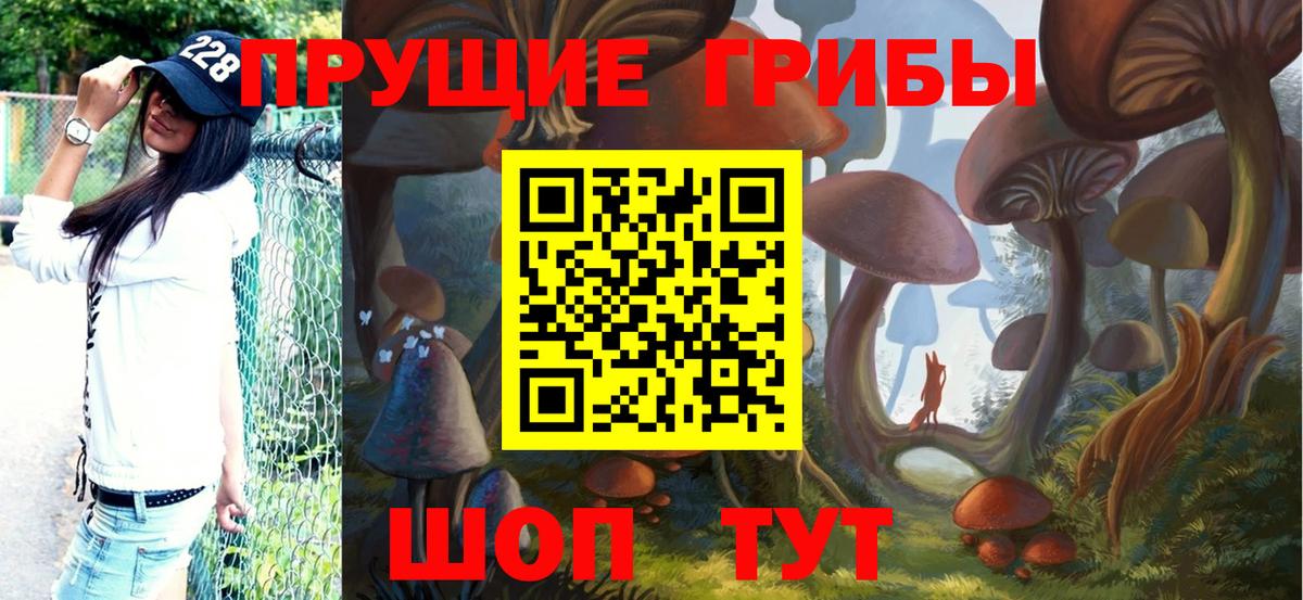 Гудермес  Галлюциногенные грибы прущие грибы  Вход с VPN 