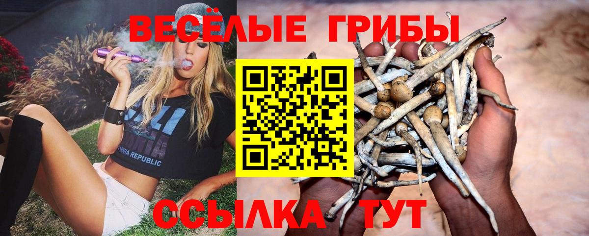 Галлюциногенные грибы GOLDEN TEACHER Гудермес